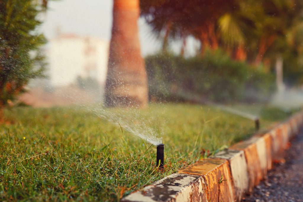 Proven Irrigation Tips to Save Water and Keep Your Landscape Thriving