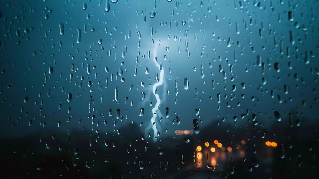 New Year Storm Season Prep: Protecting Your Trees from Arizona’s Winter Weather