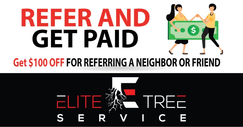 refer friend
