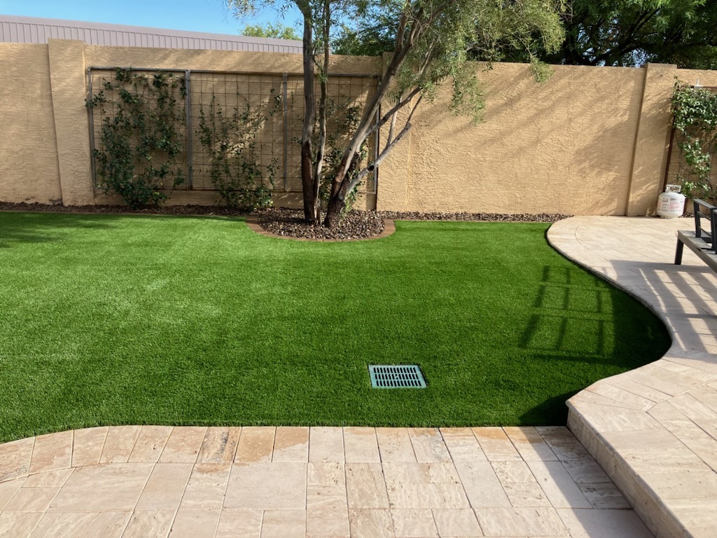 How to Prevent Winter Lawn Problems in Arizona
