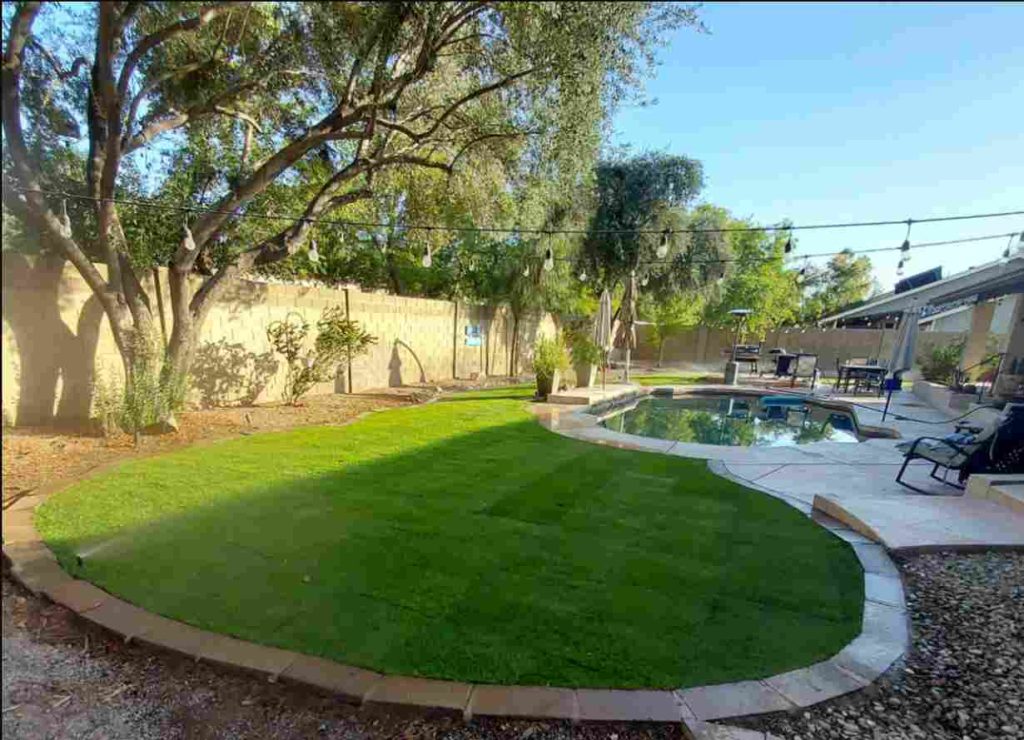 Spring Tree Care: Essential Tips for a Healthy Landscape