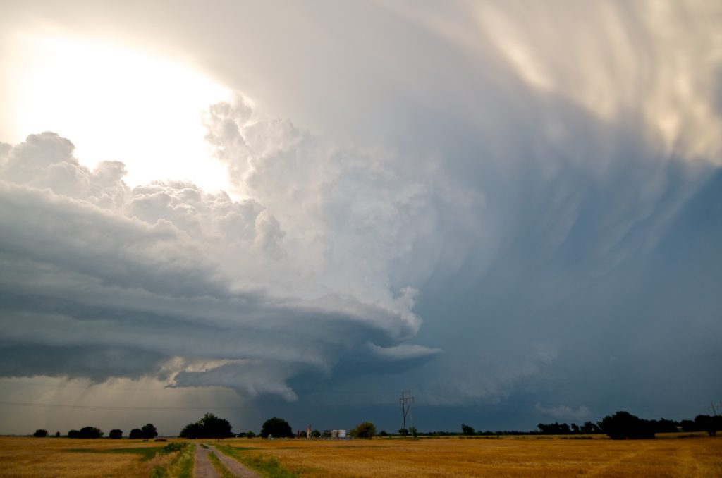 Monsoon Season Tree Care: How to Prepare Your Landscape for Heavy Rain, Winds & Storms