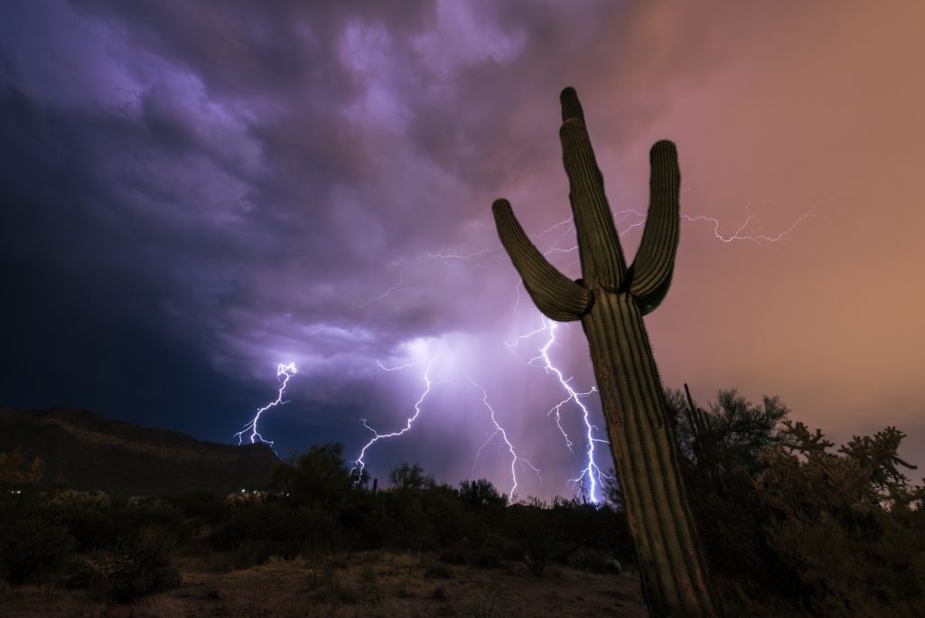 Sonoran Thunderstorm