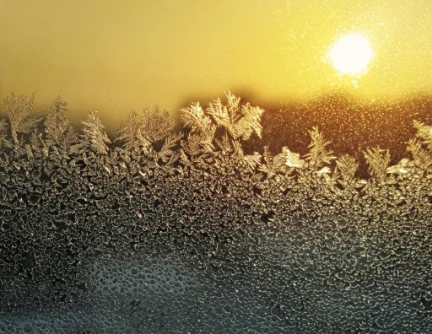 Winter Frost Patterns and Sunlight | Elite Tree Service Sunlight shining through a frosted glass window, revealing intricate ice crystal patterns on the surface.