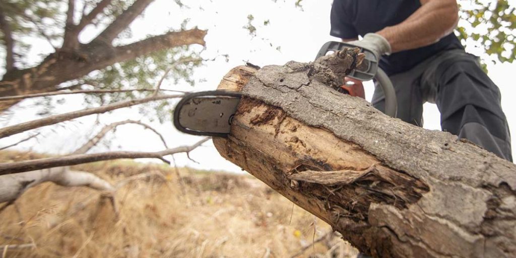 A close-up of a worker using a chainsaw to cut a thick log during tree removal work.
