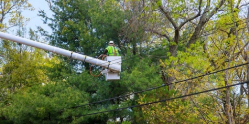 Professional arborist in a bucket truck safely trimming tall tree branches away from hazardous overhead power lines outdoors.