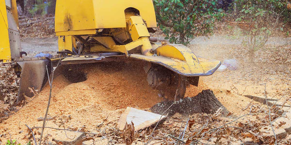 Yellow construction machine at a work site moving dirt and debris, dust flying around