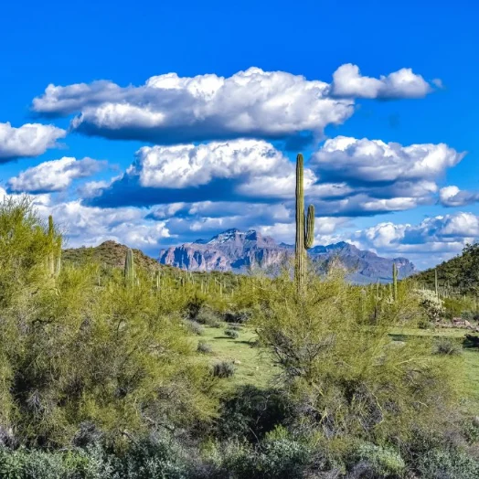 Scenic landscape of green desert brush, saguaro cacti, and rugged mountains under a cloudy blue sky near Cave Creek, Arizona.