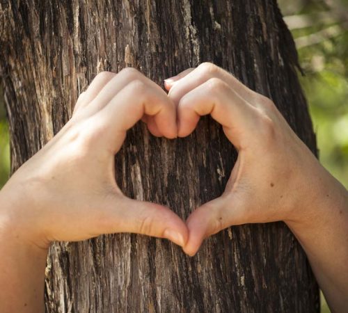 A young woman places her heart shaped hands on the bark of a tree to symbolize her love of nature.