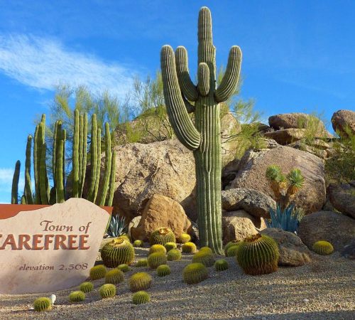 Welcome sign for the Town of Carefree featuring a large saguaro cactus, barrel cacti, and desert boulders under a blue sky.
